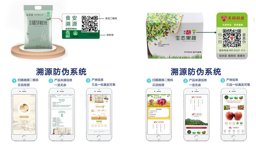 溯源与防伪系统开发 技术架构、应用场景与实施指南