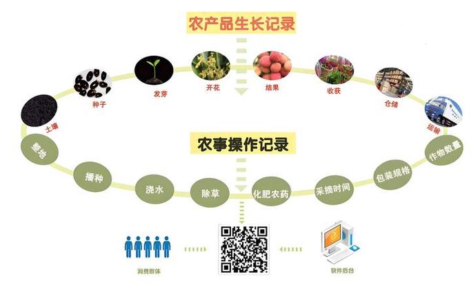 二维码防伪溯源系统 工作原理、应用价值与电子防伪技术开发